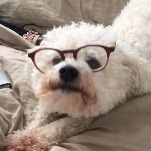 Meet your Posher, Ross